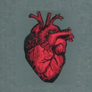 Telegram profile photo for Heart