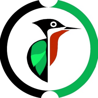 Telegram profile photo for Capocronaca