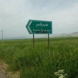 Telegram profile photo for عنبرقنبردیارمونه