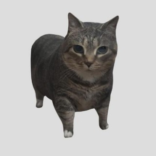 Telegram profile photo for Лудики и Айван