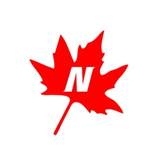 Telegram profile photo for novinleather