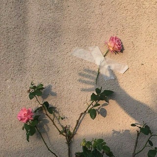 Telegram profile photo for لذةة:غـغـࢪام𓃠.