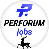 Telegram profile photo for Perforum_NNV_jobs
