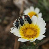 Telegram profile photo for SIERRA DE GÁDOR