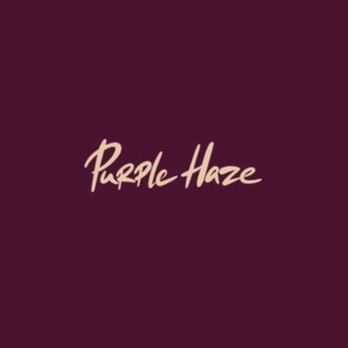 Telegram profile photo for PurpleHaze_studio