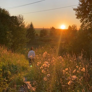 Telegram profile photo for сколько дней до лета