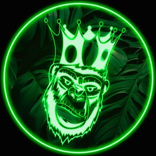 Telegram profile photo for MONKEY Bar