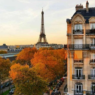 Telegram profile photo for Français 🇨🇵