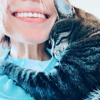 Telegram profile photo for Foto-терапия♥️🐱📸