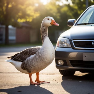 Telegram profile photo for ГУСЕВ авто