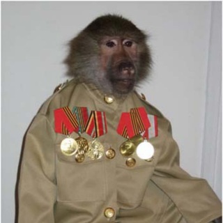 Telegram profile photo for ЧВК "MonkeyTeam"