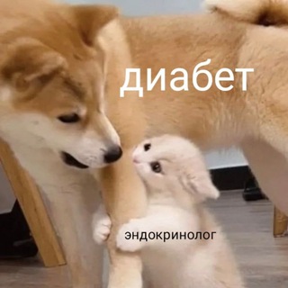 Telegram profile photo for ЭНДОКРИНОЛОГ ОНЛАЙН🍰