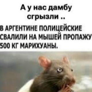 Telegram profile photo for ПЕРЕХОДНИК ЩП КФ
