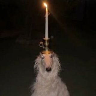 Telegram profile photo for چمپیونزلیگ بات بوبولیان
