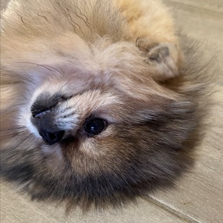 Telegram profile photo for БАСЯ РАССКАЖЕТ