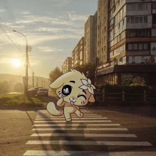 Telegram profile photo for полянка