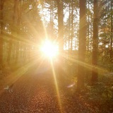 Telegram profile photo for Vision der Zukunft ( passives Einkommen, praktische Wege aus der Krise, Corona, Impfung Aufklärung Freie Energie )