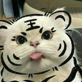 Telegram profile photo for CEX Alerts