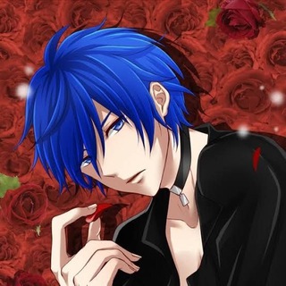 Telegram profile photo for Kaito Crypto ππ
