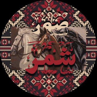 Telegram profile photo for صور شمر