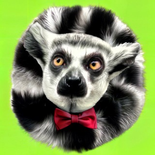 Telegram profile photo for Лемур-кафе «Вася»