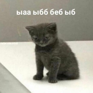 Telegram profile photo for Мем на каждый день