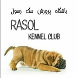 Telegram profile photo for Anzali_petshop