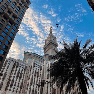 Telegram profile photo for مَغنم.