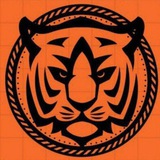 Telegram profile photo for TOSS KING TIGER 🐅