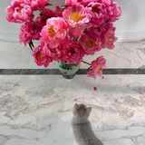 Telegram profile photo for Записки дяди Шнюка 🩷