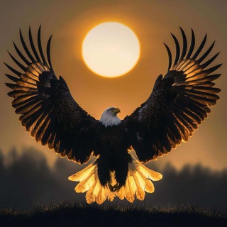 Telegram profile photo for Crypto free earning!