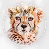 Telegram profile photo for پیروز پروکسی