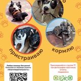 Telegram profile photo for Канал Сони