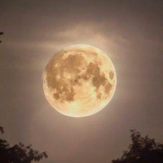 Telegram profile photo for Моторина_Ольга