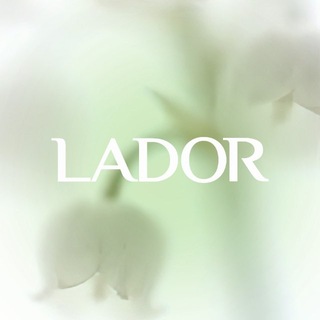 Telegram profile photo for LADOR
