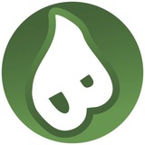 Telegram profile photo for Balls on Base Portal