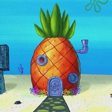 Telegram profile photo for Pineapple alpha’s