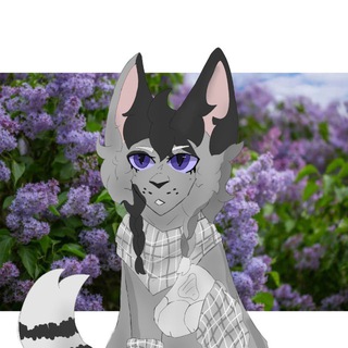 Telegram profile photo for 𐙚᥈ᥲⲃ𐔖ɥⲕᥲ 𐔤 ᥈ᥲⲕρυɥⲕ𐔖𐙚