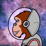 Telegram profile photo for Chimps Coin Portal