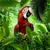 Telegram profile photo for afreeton design
