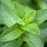 Telegram profile photo for جوک لطیفه باحال