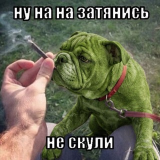 Telegram profile photo for alkoma(ZZZ)