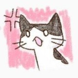 Telegram profile photo for zurA