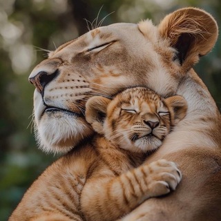 Telegram profile photo for Зверята в кадре