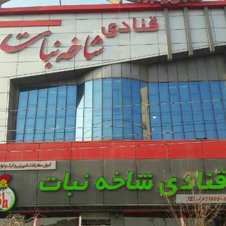 Telegram profile photo for قنادی شاخه نبات تبریز