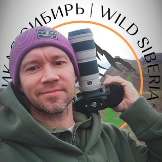 Telegram profile photo for Дикая Сибирь | Wild Siberia