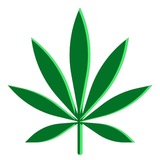 Telegram profile photo for Дудки тгк+марихуана 🌿