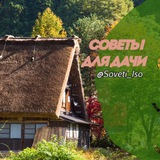 Telegram profile photo for 🏘 Советы для дачи