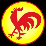 Telegram profile photo for PCV Carabobo