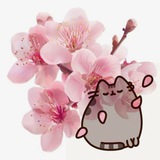 Telegram profile photo for .。*♡kseniii.art {16+}🍒ゞ⊹ฺ♡